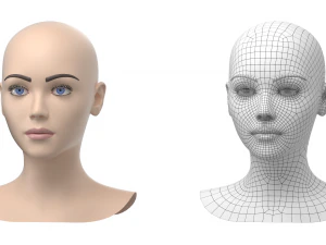 Maglia base testa femminile stilizzata 01 Modello 3D