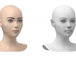 Maglia base testa femminile stilizzata 01 Modello 3D