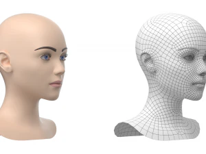 Maglia base testa femminile stilizzata 01 Modello 3D