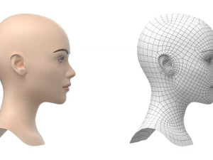 Maglia base testa femminile stilizzata 01 Modello 3D