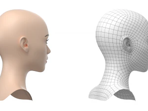 Maglia base testa femminile stilizzata 01 Modello 3D