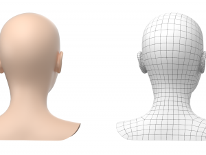 Stylized Female 01 Head Base Mesh 3D Модель