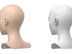 Maglia base testa femminile stilizzata 01 Modello 3D