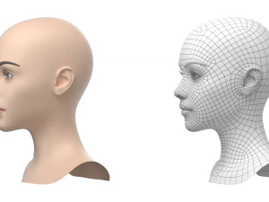 Maglia base testa femminile stilizzata 01 Modello 3D