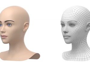 Maglia base testa femminile stilizzata 01 Modello 3D