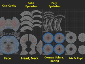 Maglia base testa femminile stilizzata 01 Modello 3D