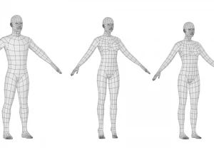 Maschio e femmina naturali in maglia di base A-Pose Modello 3D