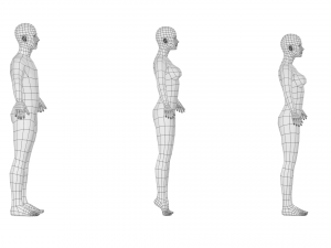 Natural Male and Female in A-Pose Base Mesh 3D 模型