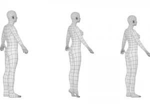 Maschio e femmina naturali in maglia di base A-Pose Modello 3D