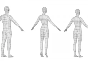 Maschio e femmina naturali in maglia di base A-Pose Modello 3D