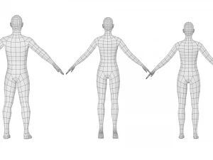 Maschio e femmina naturali in maglia di base A-Pose Modello 3D