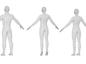 Maschio e femmina naturali in maglia di base A-Pose Modello 3D