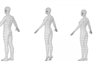Maschio e femmina naturali in maglia di base A-Pose Modello 3D