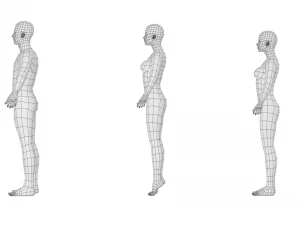 Maschio e femmina naturali in maglia di base A-Pose Modello 3D