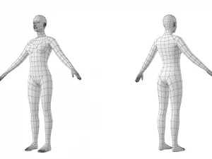 Maschio e femmina naturali in maglia di base A-Pose Modello 3D