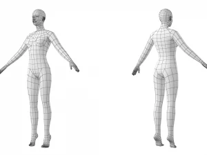 Maschio e femmina naturali in maglia di base A-Pose Modello 3D