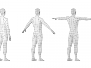 Natural Male in 3 Modeling Poses Base Mesh 3D Model