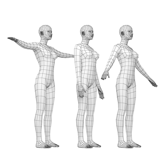 Natural Female in 3 Modeling Poses Base Mesh Model 3D .c4d .max .obj .3ds .fbx .stl .blend 