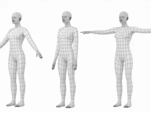 Femmina naturale in 3 pose modellanti Maglia base Modello 3D