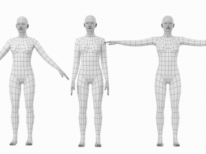 Natural Female in 3 Modeling Poses Base Mesh Model 3D