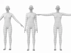Femmina naturale in 3 pose modellanti Maglia base Modello 3D