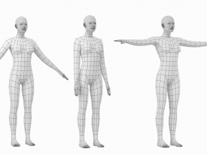 Natural Female in 3 Modeling Poses Base Mesh Model 3D