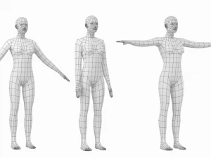 Femmina naturale in 3 pose modellanti Maglia base Modello 3D