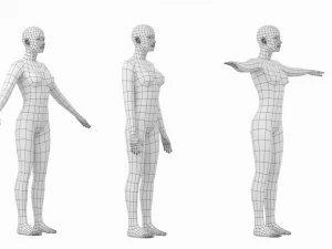Femmina naturale in 3 pose modellanti Maglia base Modello 3D