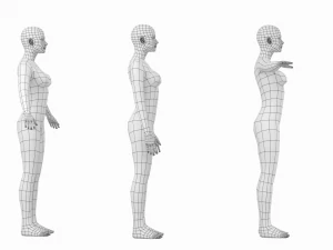 Femmina naturale in 3 pose modellanti Maglia base Modello 3D