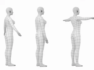 Femmina naturale in 3 pose modellanti Maglia base Modello 3D