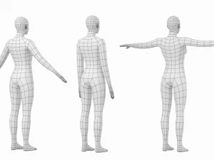 Femmina naturale in 3 pose modellanti Maglia base Modello 3D