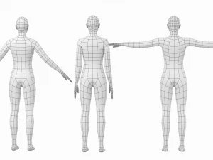 Femmina naturale in 3 pose modellanti Maglia base Modello 3D
