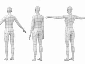 Femmina naturale in 3 pose modellanti Maglia base Modello 3D