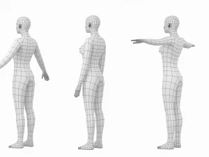 Femmina naturale in 3 pose modellanti Maglia base Modello 3D
