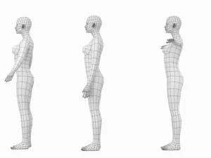 Femmina naturale in 3 pose modellanti Maglia base Modello 3D