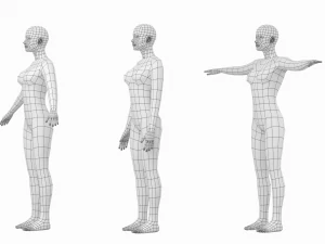 Femmina naturale in 3 pose modellanti Maglia base Modello 3D