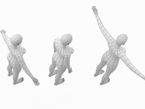 Natural Female in 3 Modeling Poses Base Mesh Model 3D