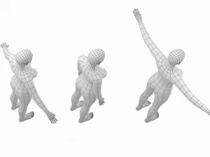 Femmina naturale in 3 pose modellanti Maglia base Modello 3D