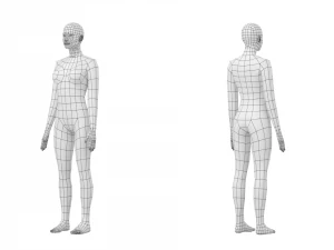 Femmina naturale in 3 pose modellanti Maglia base Modello 3D