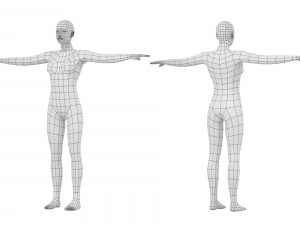 Natural Female in 3 Modeling Poses Base Mesh Model 3D