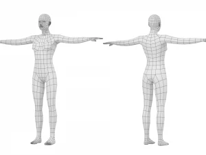 Femmina naturale in 3 pose modellanti Maglia base Modello 3D