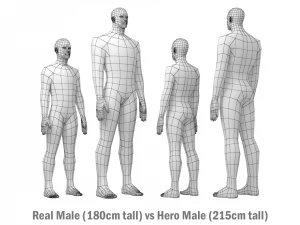 Hero Male in Rest Pose in 5 Topologies 3D Model