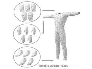 Hero Male in T-Pose in 5 Topologies 3D Model