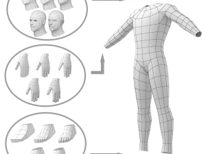 Hero Male in A-Pose in 5 Topologies 3D Model