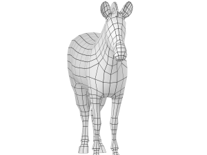 Zebra Animal Base Mesh 3Dモデル