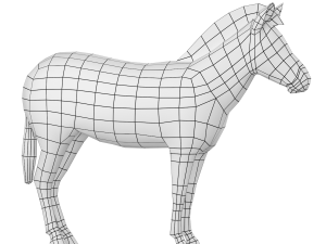 Zebra Animal Base Mesh 3Dモデル