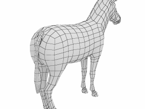 Zebra Animal Base Mesh 3Dモデル