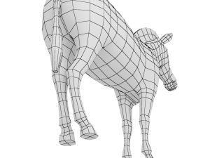 Zebra Animal Base Mesh 3Dモデル