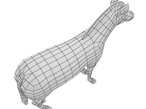 Zebra Animal Base Mesh 3Dモデル