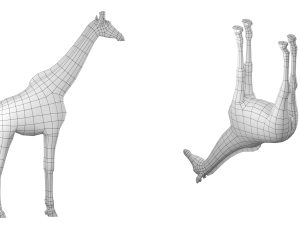 Giraffe Animal Base Mesh Modello 3D